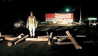 Ambientalistas de Gualeguaychú quieren construir un refugio en la ruta 136