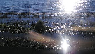 Ya hay evacuados en Paraná