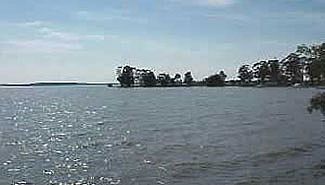 CARU y CTM prometen combatir las algas del lago Salto Grande