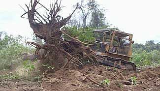 Amenazaron a uno de los integrantes de la ONG Villaguay SOS Vida
