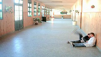 Se adjudicó la obra de reparación de la escuela Sarmiento