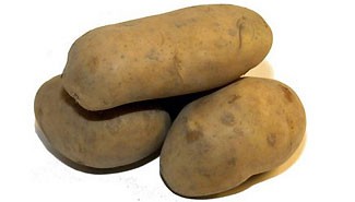 Combustibles, tranporte y alimentos, en jaque