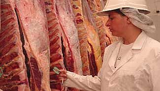 Abrieron las exportaciones de carne
