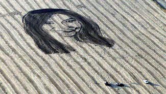 Lamentable anuncio: China deja de comprar soja argentina