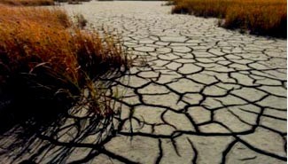 Por la sequía Entre Ríos perdió más de 45 millones de dólares