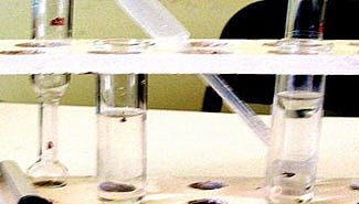 La provincia ofrece millonario crédito fiscal para desarrollo científico