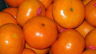 Productores citrícolas se asocian para crear una fábrica de jugo