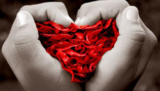 La ley y un estreno protagonizado por artistas