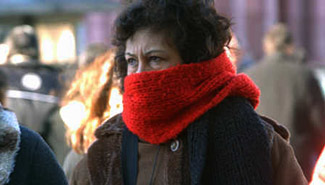 La sensación térmica descendió por debajo de cero grado en Paraná