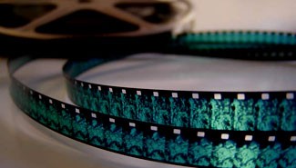 Comenzó ParanáMuestra 8