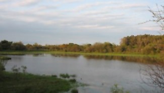 Intiman a una empresa a cubrir una deuda de cuatro años de arriendo