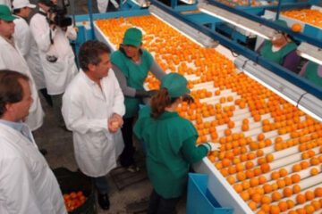 Destacan la evolución de las exportaciones de las Pymes en Entre Ríos