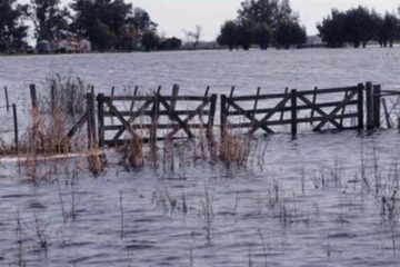 El campo pide se declare la emergencia agropecuaria