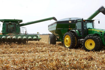 Cayó casi 30{10b083c464b21a2e5b96ab7d1950c6efda5949816d8d4b699d6508628a11a647} la producción de trigo entrerriano en 2015