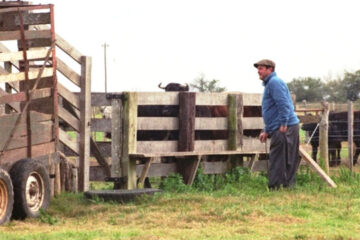 Se decretó la emergencia agropecuaria en la provincia