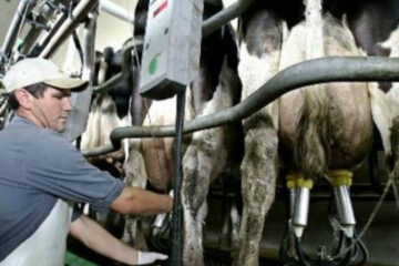 Entre Ríos firmó ayuda para el sector lechero