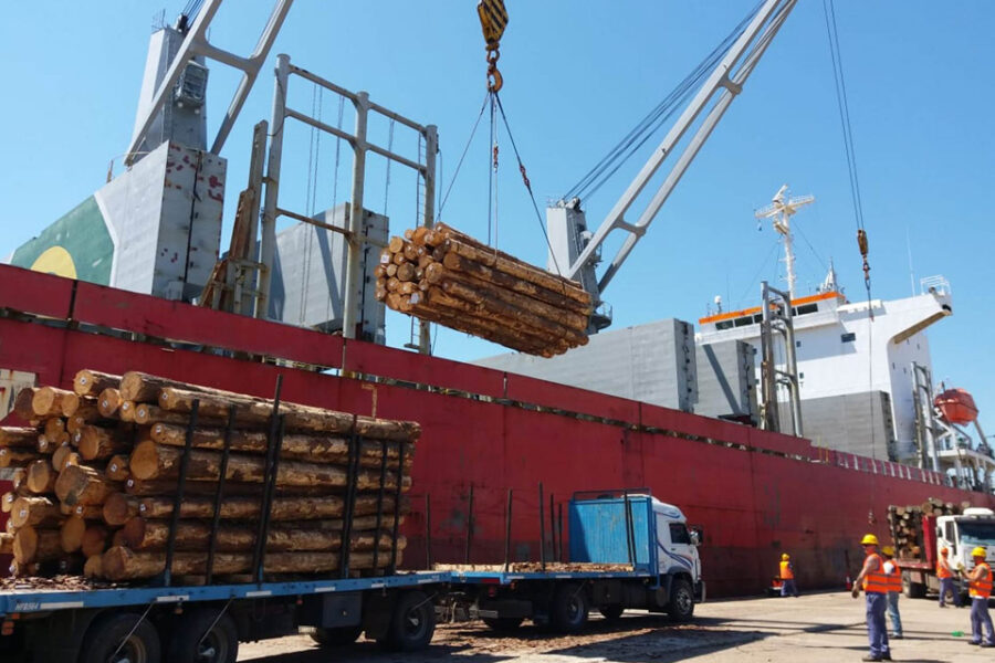 Primer paso en la reactivación de venta de madera resistida por ambientalistas