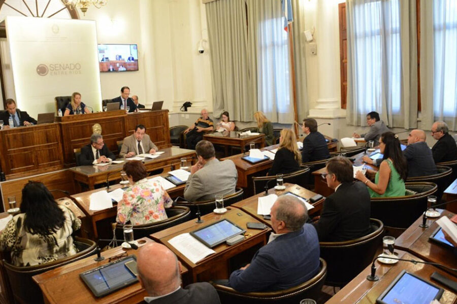 Senadores y diputados sesionarán online