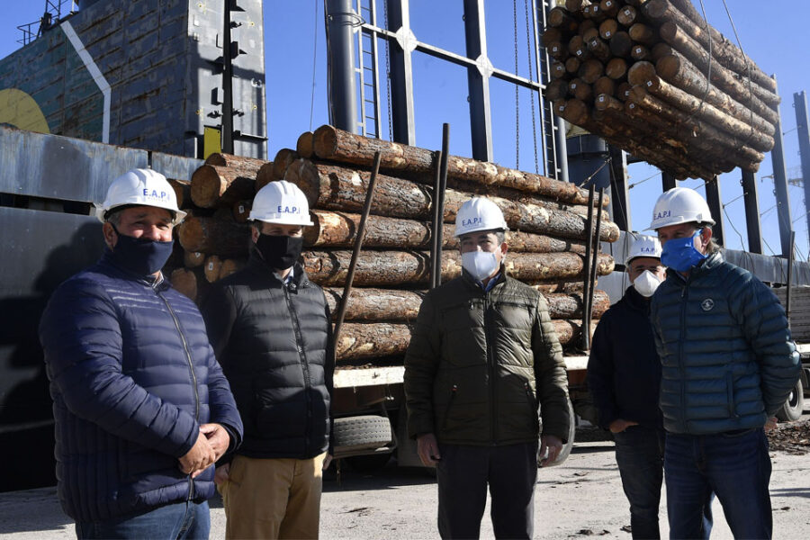 Vuelven a funcionar los puertos con estricto protocolo