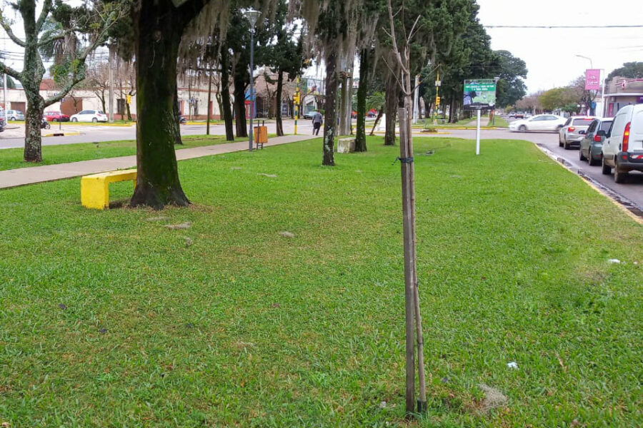 Las ciudades entrerrianas que habilitaron la hora libre