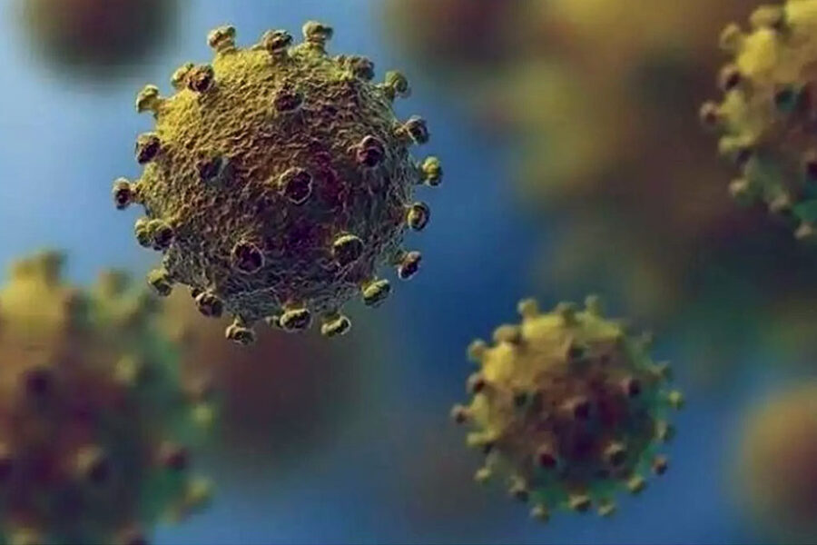 Salud confirmó el caso de Paraná