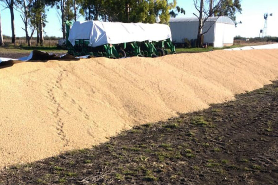 Vuelven a culpar al gobierno por rotura de silobolsas