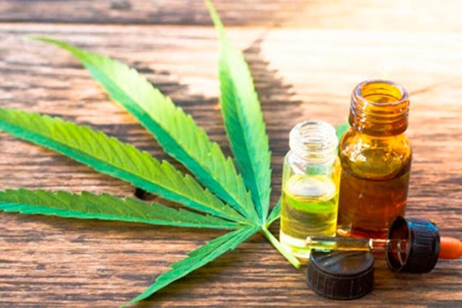 Nación habilita cultivo y venta de aceites en farmacias