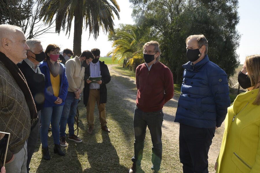 $3 millones para conservar montes nativos