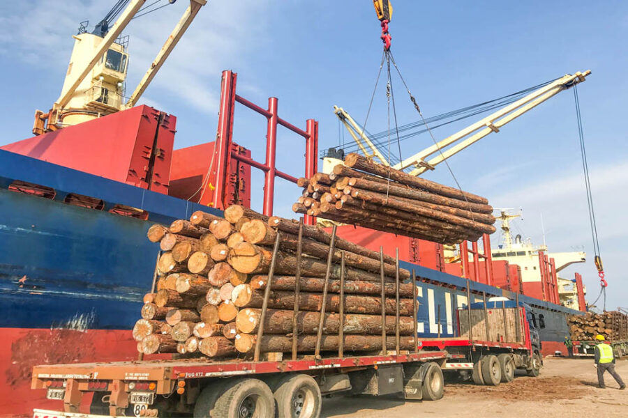 Entre Ríos aumentó exportaciones durante la pandemia