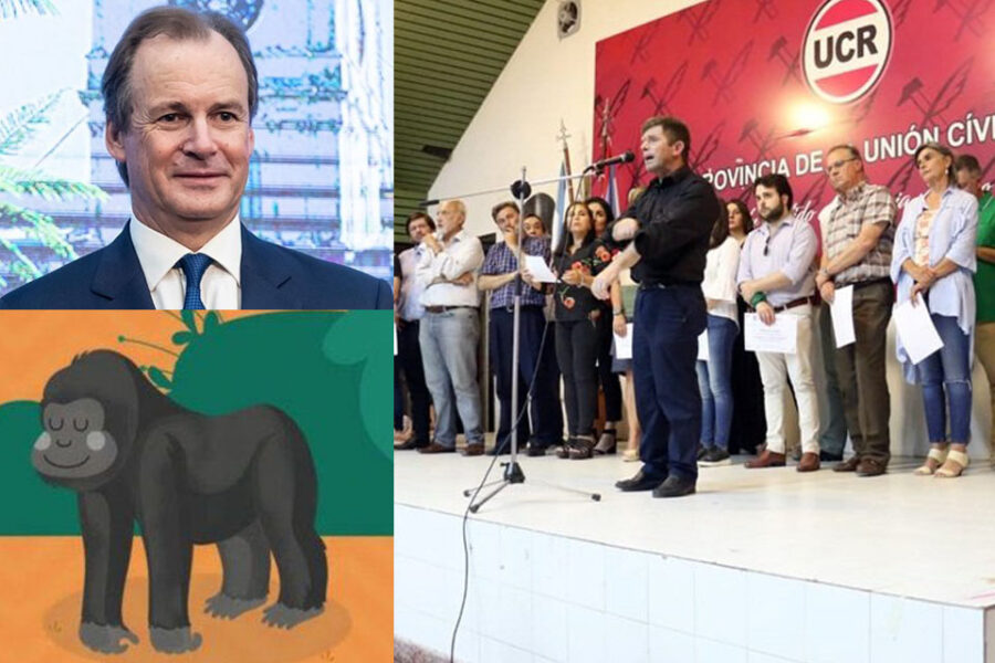 Radicales comparan a Bordet con el ‘gorila Gorilón’