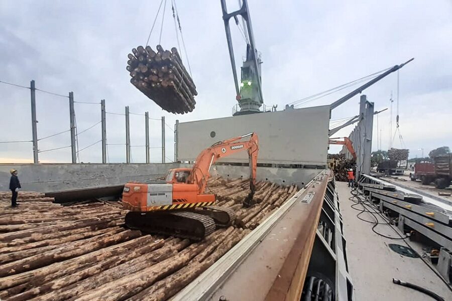 Unas 500 mil toneladas de madera partieron hacia China