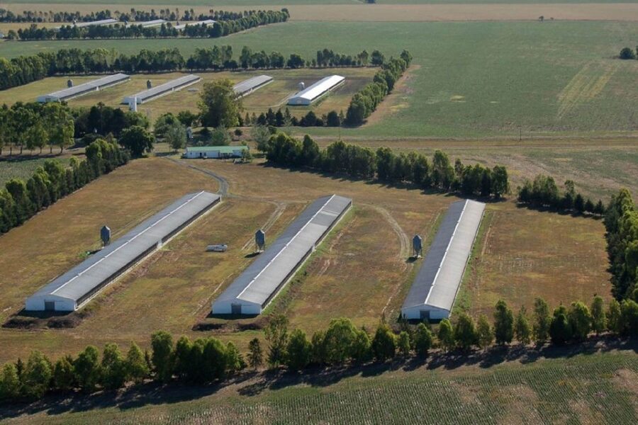 Impacto positivo en la quita de retenciones a economía regionales