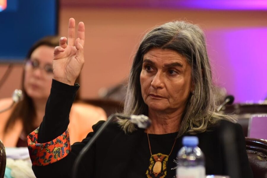 “Cristina perdió poder porque le sacaron el útero”