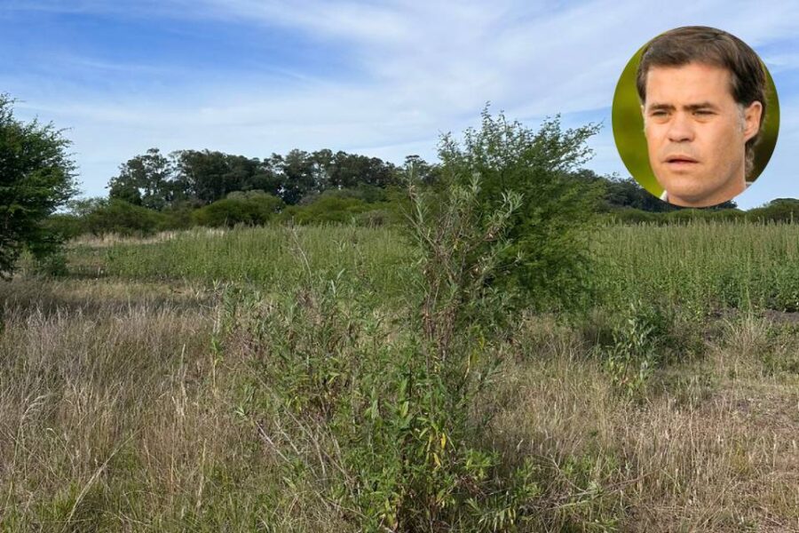 Más críticas para el intendente Piaggio