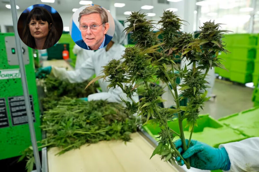 Entrerrianos en el lanzamiento del organismo que regulará la industria del cannabis