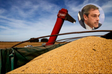 Michel denunció millonaria maniobra de evasión de grandes cerealeras