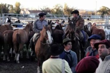 (Mención a Entre Ríos) Declararon la emergencia sanitaria por encefalomielitis equina en todo el país