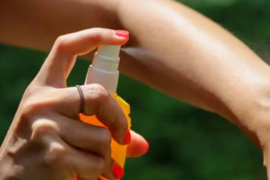 (Mención a Entre Ríos) Ministerio de Salud pidió reforzar la prevención contra el dengue tras la escalada de contagios en varias provincias