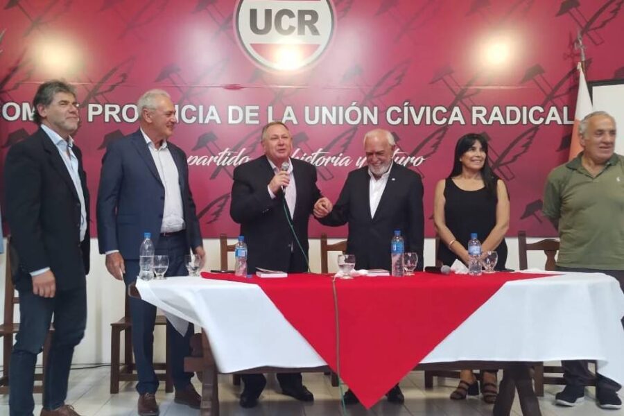 Rogel presentó su libro con respaldo radical