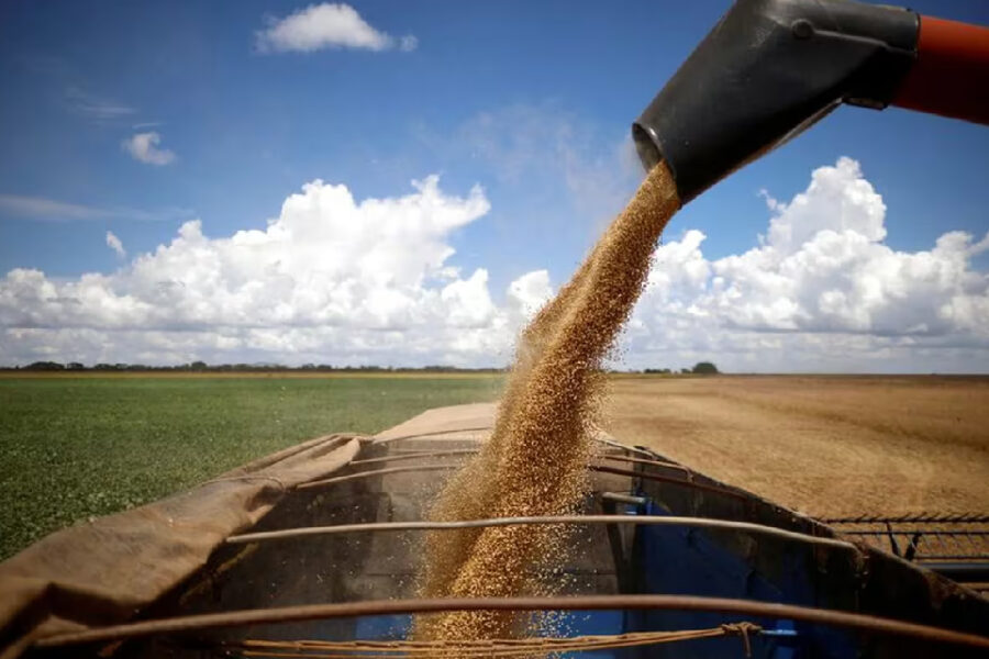 (Mención a Entre Ríos) Quejas en el campo por una medida del Banco Central que limita el financiamiento para los productores