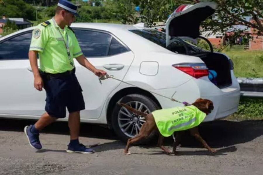 Entre Ríos: blindaron los accesos a Victoria para evitar el efecto contagio de la narcocriminalidad de Rosario