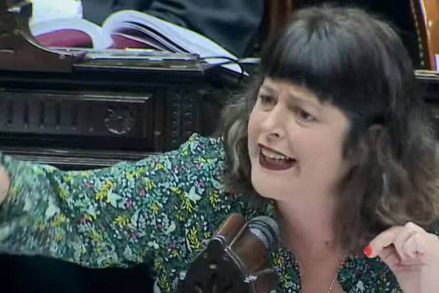 (Mención a diputada entrerriana) “Ridícula”,“dale un rivotril que está sacada”: tratamiento de la Ley Bases comenzó con una fuerte discusión