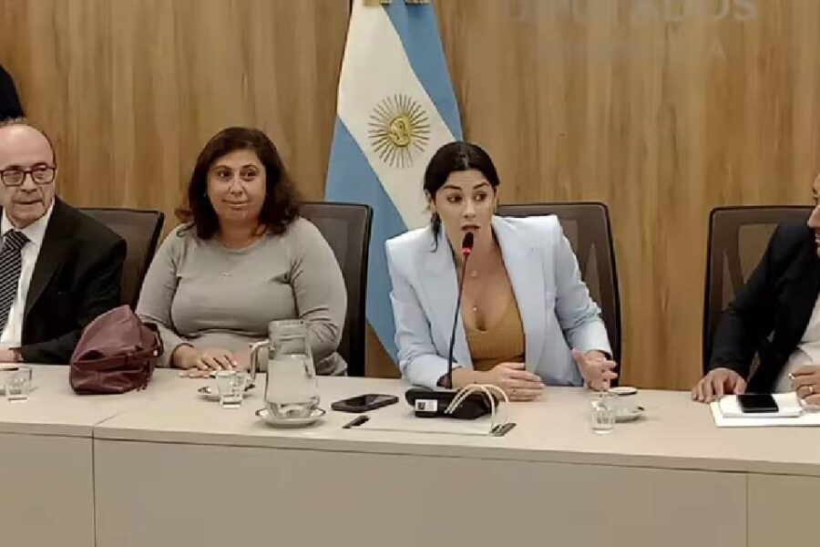 (Mención a diputada entrerriana) Escándalo en la reunión de la comisión de Juicio Político que nombró a Marcela Pagano como presidenta
