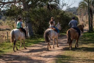 (En Entre Ríos) Escapadas de otoño: cuál es el destino turístico argentino para disfrutar con descuentos de hasta un 50%