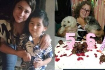 (En Entre Ríos) Tragedia familiar en ruta: un nene de 4 años, su mamá y su abuela murieron al chocar contra camión que trasladaba 50 vacas