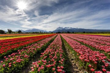 (Mención a localidad entrerriana) Definieron los 8 pueblos argentinos que competirán por ser los mejores del mundo