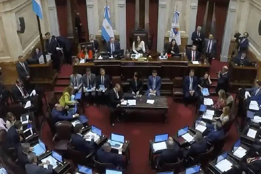 (Mención al entrerriano Kueider) Poroteo en el Senado por la Ley Bases: el gobierno asegura que tiene los votos necesarios para aprobarla