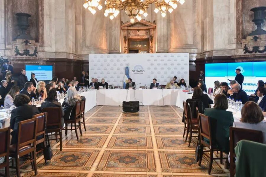 (Mención al entrerriano Kueider) Instancia definitoria en Senado: el oficialismo intenta firmar dictámenes de la ley Bases y paquete fiscal