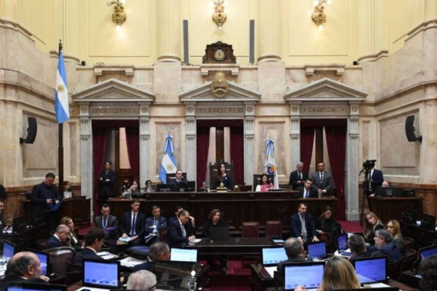 (Mención al entrerriano Kueider) “No me venga a pegar porque se la devuelvo”: los roces más acalorados entre senadores por la Ley de Bases