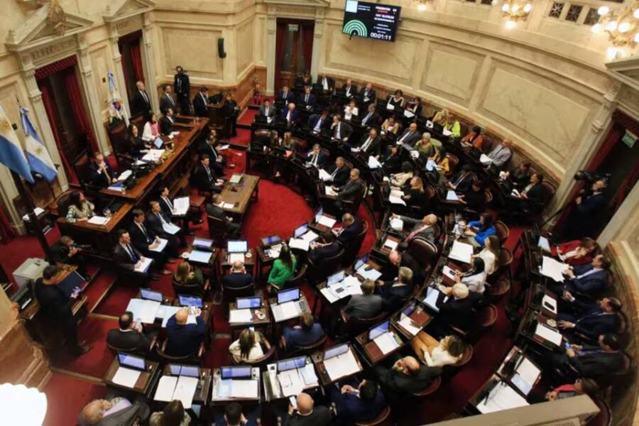 (Mención al entrerriano Kueider) Ley Bases y paquete fiscal: cuáles son los puntos delicados en el Senado que podrían complicar al Gobierno